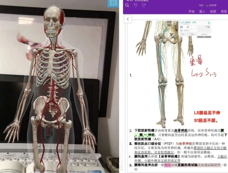 Mendeley软件界面